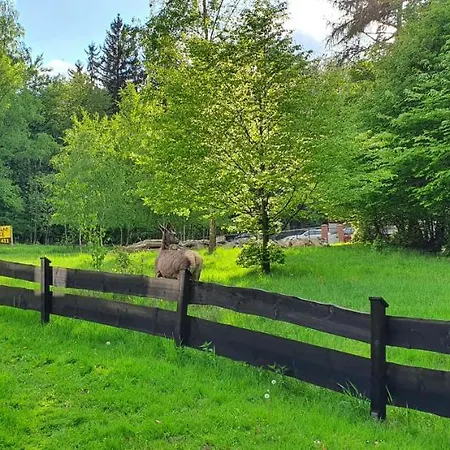 Alpesi faház Tylko Tu Szklarska Poręba