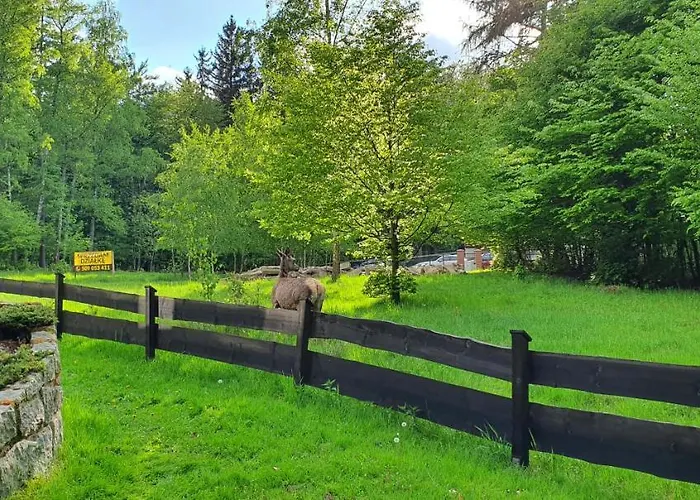 샬레 Tylko Tu 스클라르스카포렘바