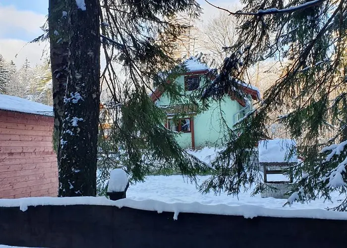 Tylko Tu * 스클라르스카포렘바